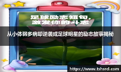 mk体育(mksport集团)股份公司